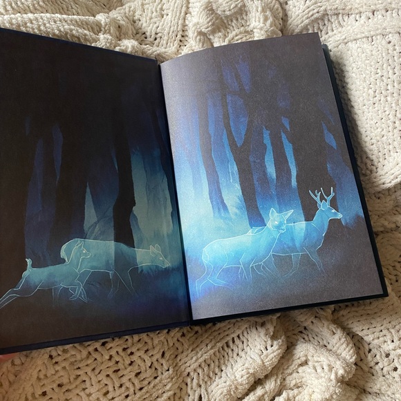 Owlcrate exclusive edition of “The Luminaries” by Susan Dennard - Picture 2 of 6